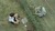 Images (1)_tiny